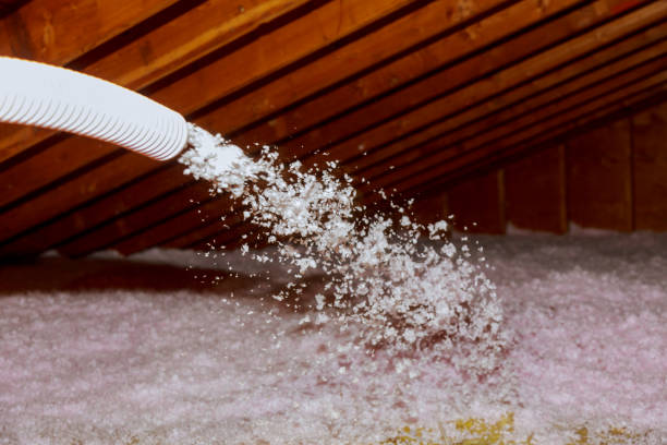 Best Insulation Installation Services in Wonder Lake, IL